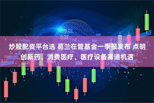炒股配资平台选 葛兰在管基金一季报发布 点明创新药、消费医疗、医疗设备赛道机遇