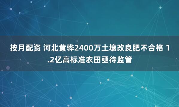 按月配资 河北黄骅2400万土壤改良肥不合格 1.2亿高标准农田亟待监管
