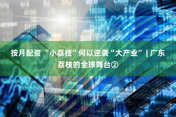 按月配资 “小荔枝”何以逆袭“大产业” | 广东荔枝的全球舞台②