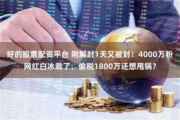 好的股票配资平台 刚解封1天又被封！4000万粉网红白冰栽了，偷税1800万还想甩锅？